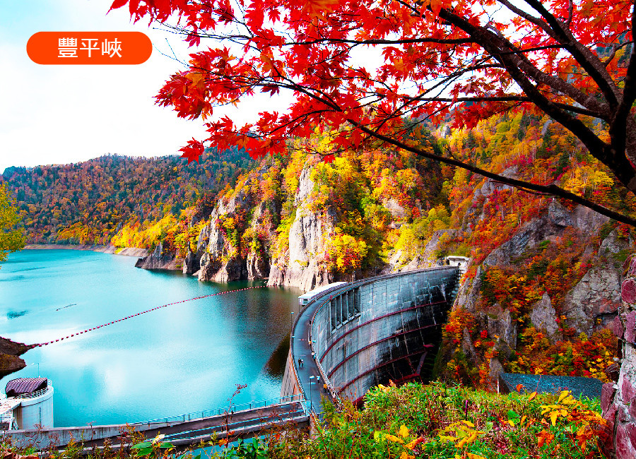 雙節連休易起玩♯秋楓紅北海道雙溫泉5日.(全程無自理餐)洞爺湖.紅色掃帚草.神仙沼.定山溪紅葉.旭山動物 奶酪手作體驗.三大蟹吃到飽