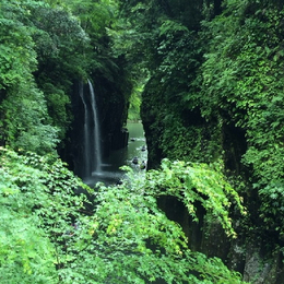童話九州輕旅行 秘境高千穗5日(福岡/福岡)湯布院.柳川遊船.城彩苑.九重夢吊橋.一日自由活動