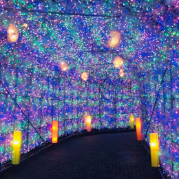 限定促銷北海道雙溫泉4日(函函)|五星夜景函館纜車、熊牧場、小樽浪漫運河、洞爺湖彩燈節、入住雙溫泉飯店