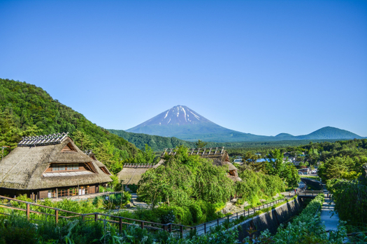 暑假揪團超省♯涼夏東京採果趣溫泉5日-輕井澤.河口湖.大石公園