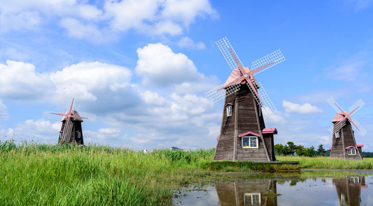 花見首爾5天.三清洞+北村韓屋、塗鴉秀、鐵道自行車★台中出發