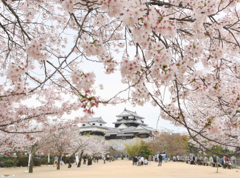 清艙特惠【四國賞櫻趣】魔女宅急便小豆島.栗林公園.金刀比羅宮.父母之濱.倉敷美觀.松山城.燒肉吃到飽5天