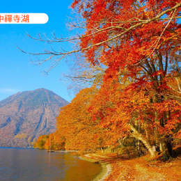 週七狂歡日♯高雄出發秋色繽紛東北6日.藍寶石水族館.會津鐵道.秘境五色沼.掃帚草.日光東照宮.中襌寺湖.採果樂.三溫泉美食
