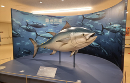 東京豐洲魚市場“金槍魚拍賣” & 海鮮自助體驗