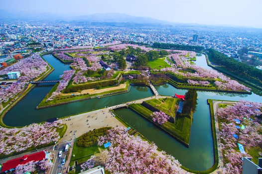 預約粉紅櫻花海♯北海道櫻花之旅+北海道神宮+尼克斯海洋公園+函館百萬夜景+三大蟹和牛酒水六日(泰越捷)