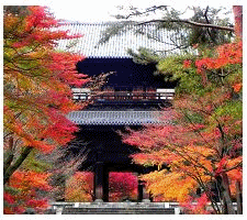 【楓雲再起三都影城紅葉狩5日】賞楓名所.南禪寺.東福寺.有馬溫泉5日