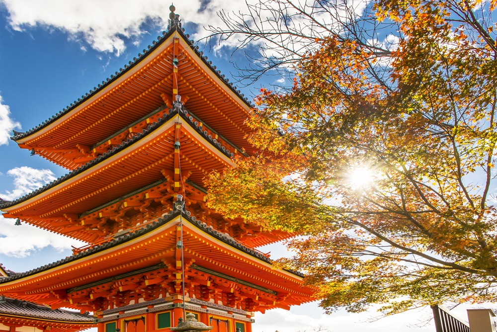星宇神戶5日遊.伊根灣遊船.美山合掌村.京都嵐山渡月橋.大阪自由活動.和牛吃到飽《台中出發.到府接送》