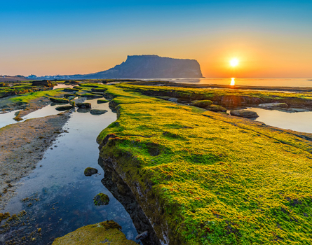 【小資玩濟州５日】城山日出峰、汗蒸幕、泰迪熊王國、英式小火車、摩托車秀、濟州美食[含稅簽]