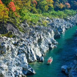 【四國追楓趣】大步危紅葉峽谷遊船．秋之葛藤橋．德島阿波舞．倉敷美觀．金刀比羅宮．栗林公園．燒肉吃到飽．名湯饗宴4天