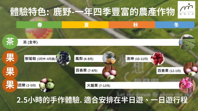 ※以下圖片僅參考，採果體驗可能會依當天果園狀況調整，敬請見諒