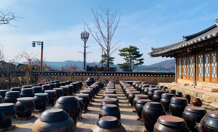 【真航易起飛.韓國釜慶雙城6日】不進蔘肝、文化遺產佛國寺、彩色膠囊列車、古宅韓服體驗、太宗台遊園車、甘川洞文化村、南浦洞逛街(台中) 36