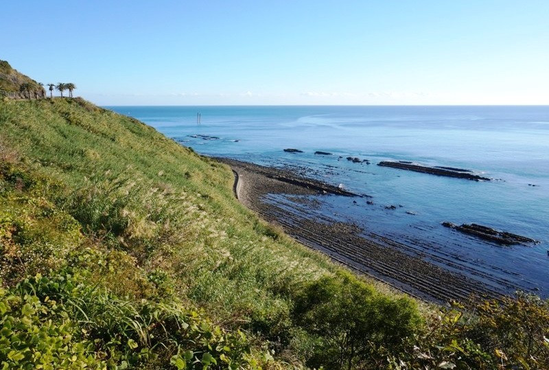 春櫻南九州|鹿兒島賞櫻名所.仙巖園抹茶體驗.櫻島渡輪.指宿玉手箱.砂浴溫泉五日