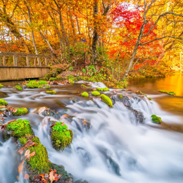 賞楓限時省♯北海道【道南】秋季賞楓【百萬夜景ｘ有珠山紅葉纜車】溫泉６日