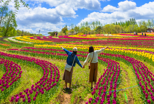 四國米其林景點~海上鳥居.花卉公園.金刀比羅宮.天空鞦韆五日