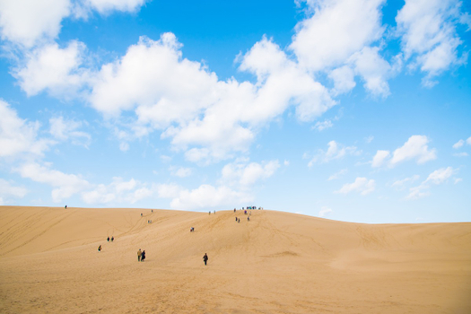 精緻假期~台中神戶 山陰山陽沙丘絕景_超萌企鵝_白兔神社_砂之美術館_由志園_崛川遊船_柯南故鄉溫泉五日