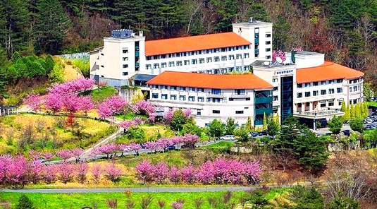 群櫻飛飛.粉嫩武陵農場‧全新武陵富野2天