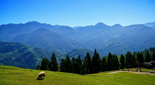 清境農場+武陵農場+福壽山美景3天