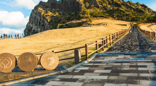 繽紛濟州~迷宮樂園.泰迪熊野生動物王國 6天