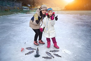 《不走人蔘．保肝》《不走人蔘．保肝》【華川冰雪鱒魚節５日】冰釣、滑雪、採草莓、汗蒸幕【華航】