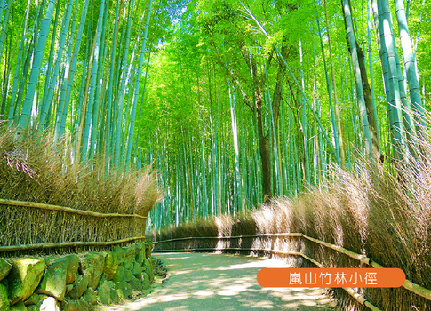 超值關西印象5日.環球影城.世界遺產清水寺.千本鳥居.和牛伊勢龍蝦相撲鍋.奈良小鹿.嵐山渡月橋