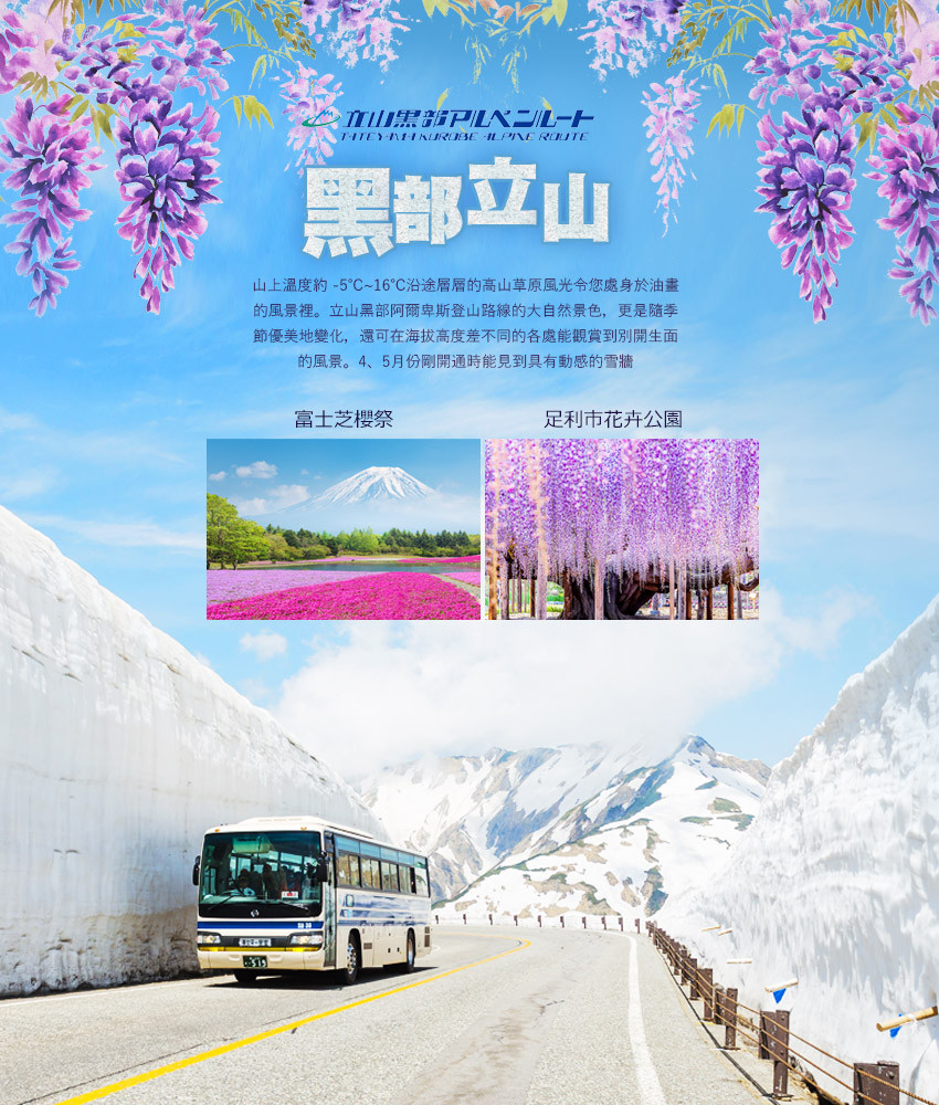 夢幻雪牆餘位搶♯立山黑部雪牆花見紫藤花瀑雙溫泉5日-足利紫藤花卉、上高地秘境美景、白川鄉合掌村、漫步輕井澤、富士芝櫻、螃蟹食べ放題
