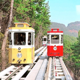 繽紛釜慶5天.LUGE滑車、慶州佛國寺、彩色膠囊列車、松島跨海纜車(一站彩妝)★(台中出發/真航空)