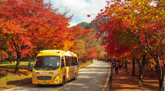 內藏山/雪嶽山國家公園1日遊