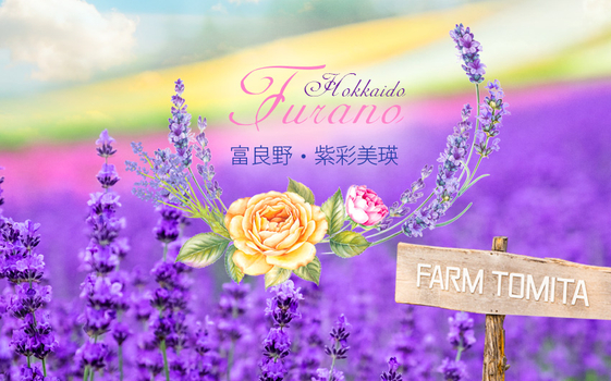 紫戀北海道６日－企鵝遊行、浪漫小樽、積丹半島、富良野、紫彩美瑛、美瑛白金青池、旭山動物園、旭川常盤旋轉塔