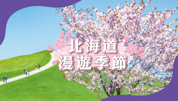 粉紅櫻花餘位搶♯【美最時X星宇北海道櫻花賞．三晚溫泉旅館】登五稜郭塔+青葉ヶ丘公園．函館纜車．企鵝走路．小樽運河．螃蟹食放題 5 日