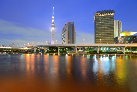 東京雙花奇緣６日》河津櫻花、熱海梅園、大室山纜車、伊豆急行線、歡樂迪士尼、登上晴空塔、雙名湯饗宴