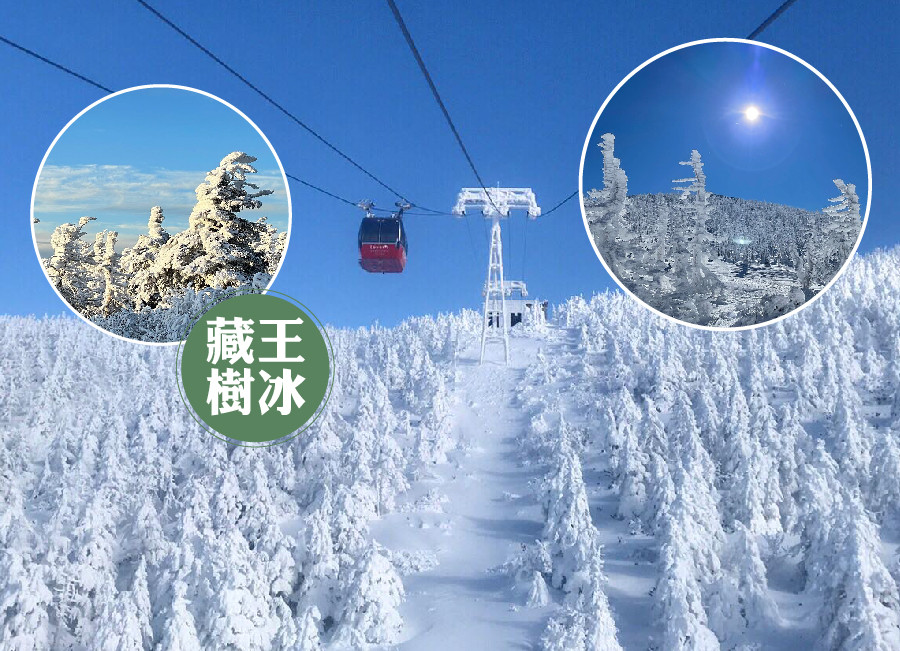 預約幸福冬季♯金蛇迎春雪夢幻東北5日.藏王樹冰纜車.銀山溫泉.會津鐵道.爆萌狐狸.採草莓.雪體驗.米澤牛.入住百選溫泉(新瀉進仙台出)