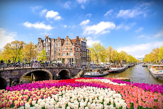 鬱約花季早鳥省♯花現法比荷～鬱金香花園、羅浮宮凡爾賽、羊角村布魯日、歐洲之桅登頂九日