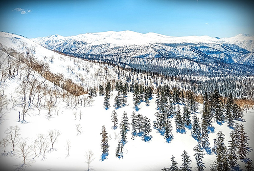 連休瘋東北～青森地方慢旅、秋田縱貫鐵道、星野度假村、溫泉百選飯店五日(不進免稅店)