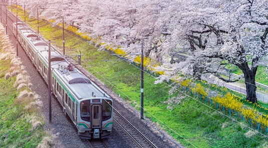 仙台機加酒 ✈ 5天4夜