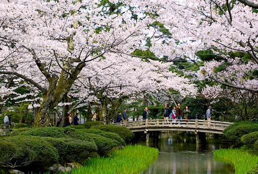 漫遊冬雪北陸｜飛驒之里點燈.童話合掌村.郡上八幡.上三之町.戲雪.溫泉.喜來登六日｜台中