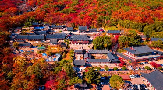 玩咖賞楓在釜山5日〈彩妝一站〉-梵魚寺、金井山城登山纜車、佛國寺、石南寺、海岸列車、韓國觀光+美食100選