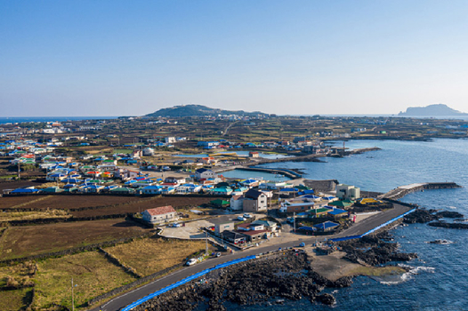 暑假餘位揪團省♯飛濟不可豪情萬種五天《不走人蔘保肝》牛島之旅、神話世界主題樂園、摸摸動物園、水之幻境、鐵軌自行車【德威】