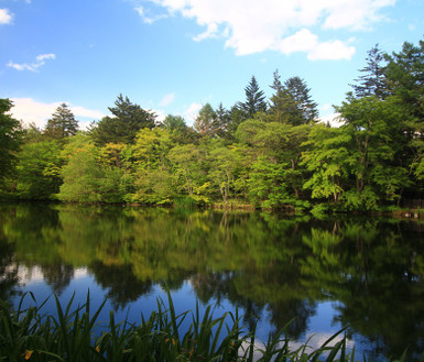 每月一物東京 全程無自理餐 保住1晚五星 輕井澤 川越 築地 西湖里根場 萌木之村 雙溫泉五日關團 Eztravel易遊網