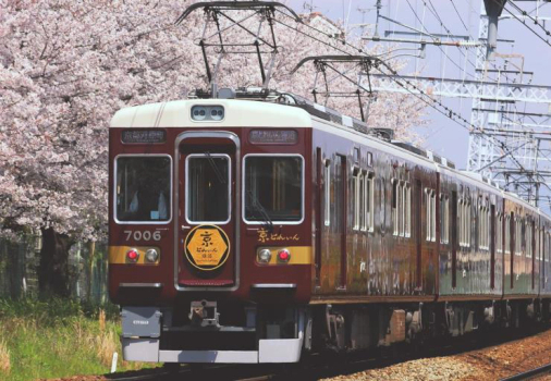關西遇見粉蝶花5天~琵琶湖天空陽台、萬葉平等雙紫藤、勝利達摩勝尾寺、黑毛和牛燒肉吃到飽
