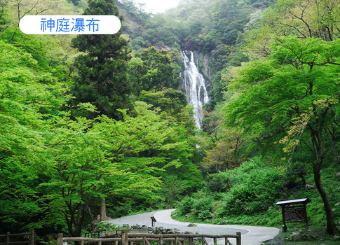 易起FUN寒假♯直飛鳥取~神話的故鄉雙溫泉5日.小豆島.足立美術館.出雲大社.金刀比羅宮.松江城遊船.法式料理和牛(早去晚回)