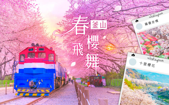 預約粉紅櫻花季♯釜山春櫻飛舞全覽5日〈彩妝一站〉-全程四星、長腳蟹吃到飽、河東十里櫻花路、麗水景觀纜車、巨濟島海上花園、味贊王鹽烤肉
