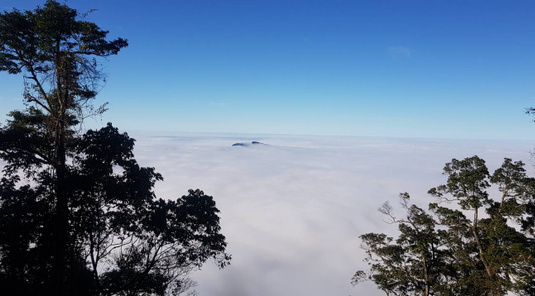 新竹雪霸觀霧、船遊峨眉湖+苗栗格林奇幻森林3天