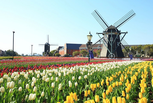 親子同樂會♯九州豪斯登堡~巴洛克陶瓷公園、九十九島海洋樂園、溫泉樂園雙享