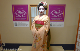 京都與舞妓共進午餐/晚餐