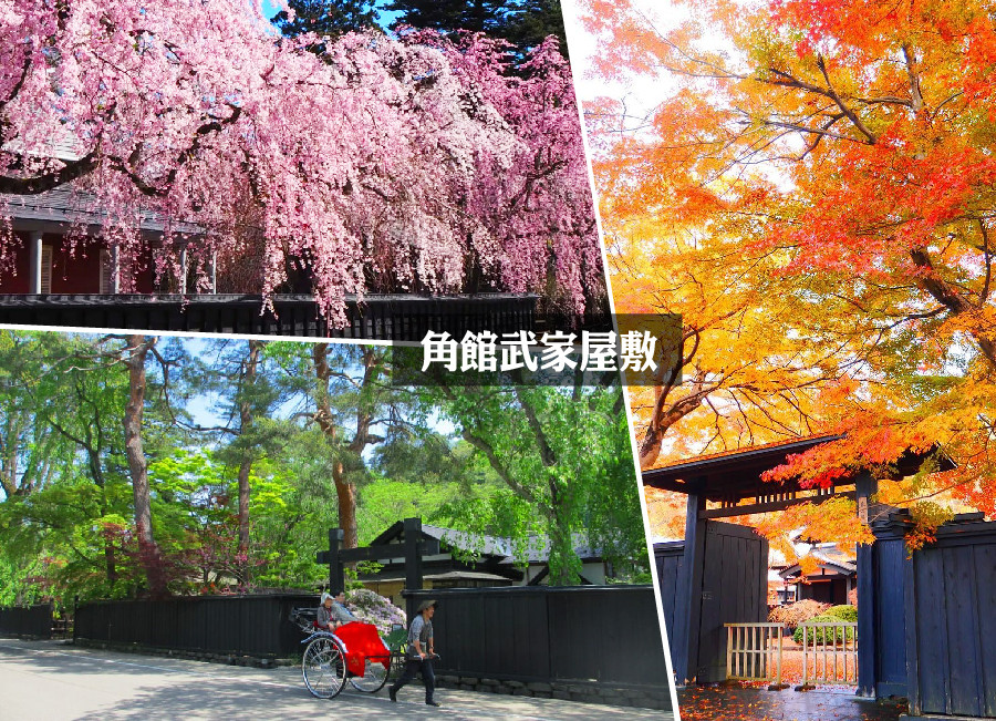 東北粉春櫻雪迴廊5日.八幡平雪牆.角館垂櫻.銀山溫泉.絕美嚴美溪.松島遊船.秋田鐵道列車.溫泉(入住花卷飯店)