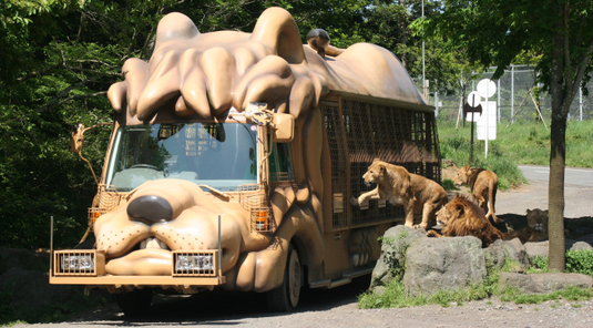 易遊嚴選~ 星宇樂玩東京5天.富士動物園+叢林巴士.東京迪士尼.箱根水族館.蘆之湖海盜船.忍野八海.溫泉飯店