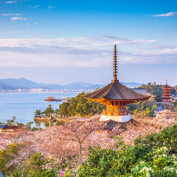 預約粉紅櫻花海♯【四國小豆島賞櫻５日】櫻花百選、小豆島魔女宅急便、大步危溪谷遊船趣、神隱少女油屋、道後溫泉[含稅簽]