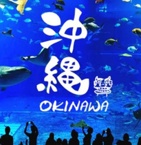 *【FUN華航】沖繩自由行 6 天~贈美麗海水族館門票(高雄出發)