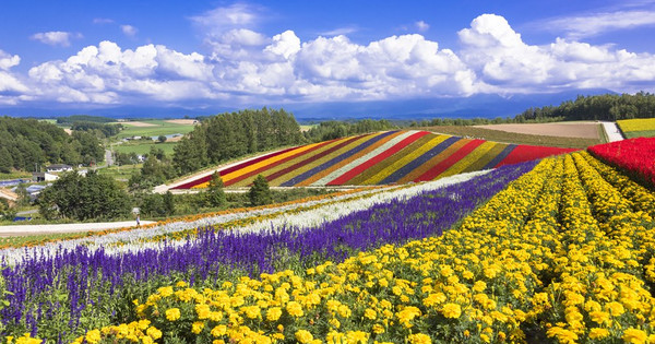 四季彩の丘 四季彩の丘】アクセス・営業時間・料金情報 - じゃらんnet