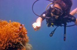 東姑阿都拉曼國家公園潛水體驗